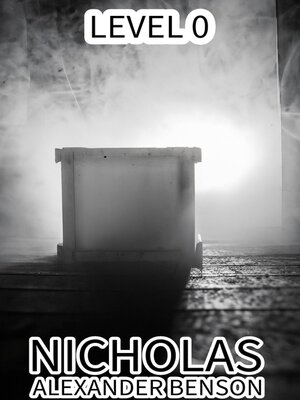 cover image of Level 0